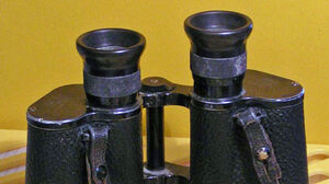 Wir suchen... Fernglas